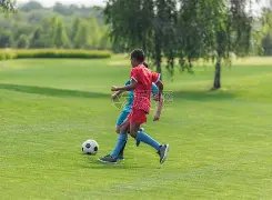 金童奖前瞻,新星埃斯特,旺领跑,球盟会,球盟会官网入口,球盟会官网首页,球盟会官网