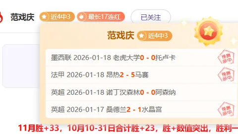 Raccoin平台最佳角色推荐